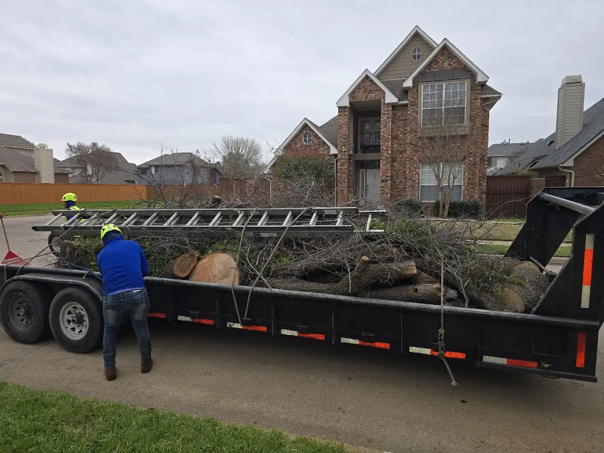 Expert Lot Clearing with proper safety equipment in Bryant
